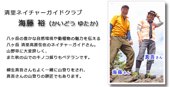 海藤さんエサ台 イメージ