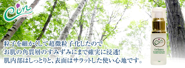 シン・エッセンス