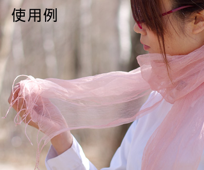 ºù¥¹¥È¡¼¥ë¸¨